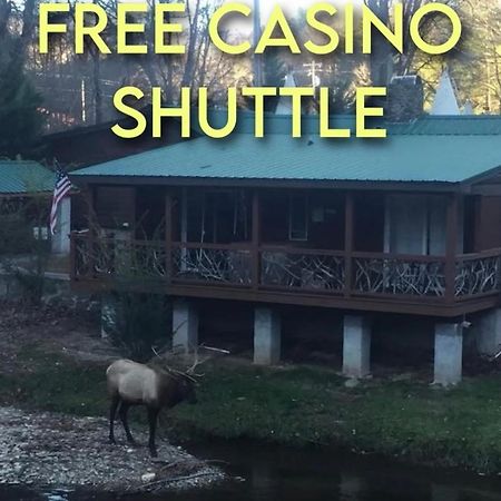 Qualla Cabins And Motel Cherokee Near Casino Whittier Dış mekan fotoğraf