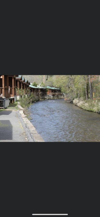 Qualla Cabins And Motel Cherokee Near Casino Whittier Dış mekan fotoğraf