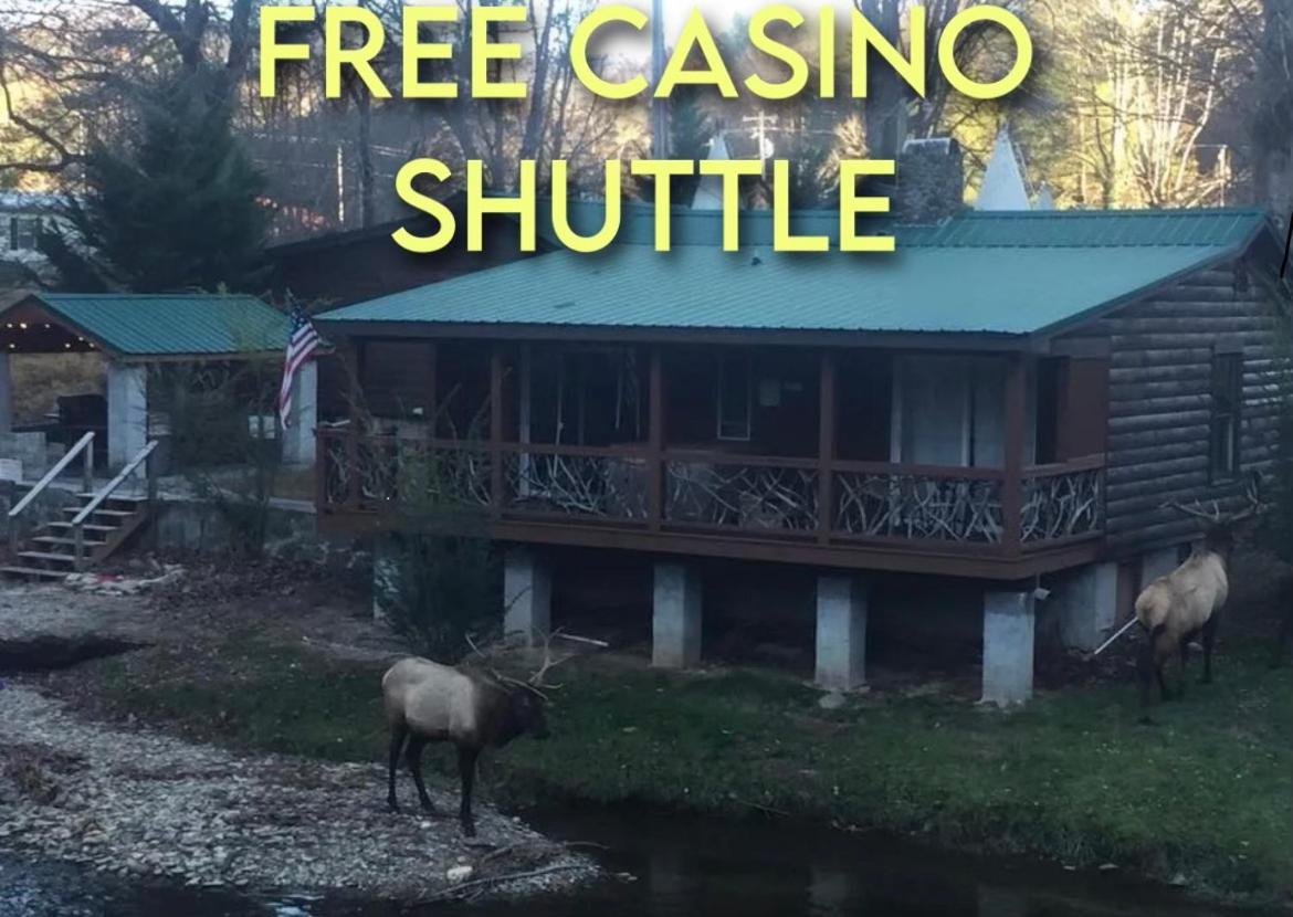 Qualla Cabins And Motel Cherokee Near Casino Whittier Dış mekan fotoğraf